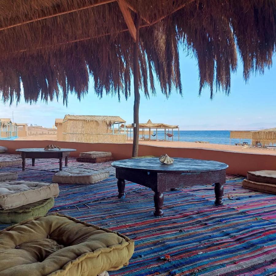 فندق Anne Sinai'S Best Camp & Resturant نويبع المظهر الخارجي الصورة