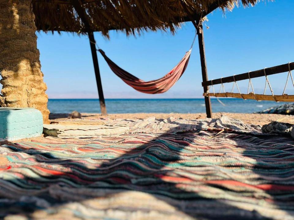فندق Anne Sinai'S Best Camp & Resturant نويبع المظهر الخارجي الصورة